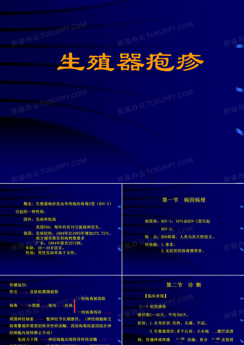 生殖器泡疹