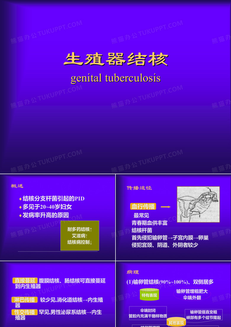 生殖器结核