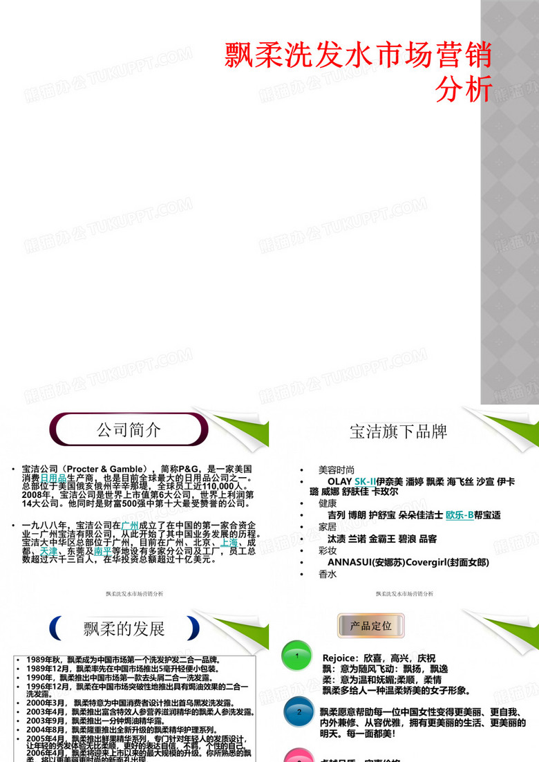 飘柔洗发水市场营销分析