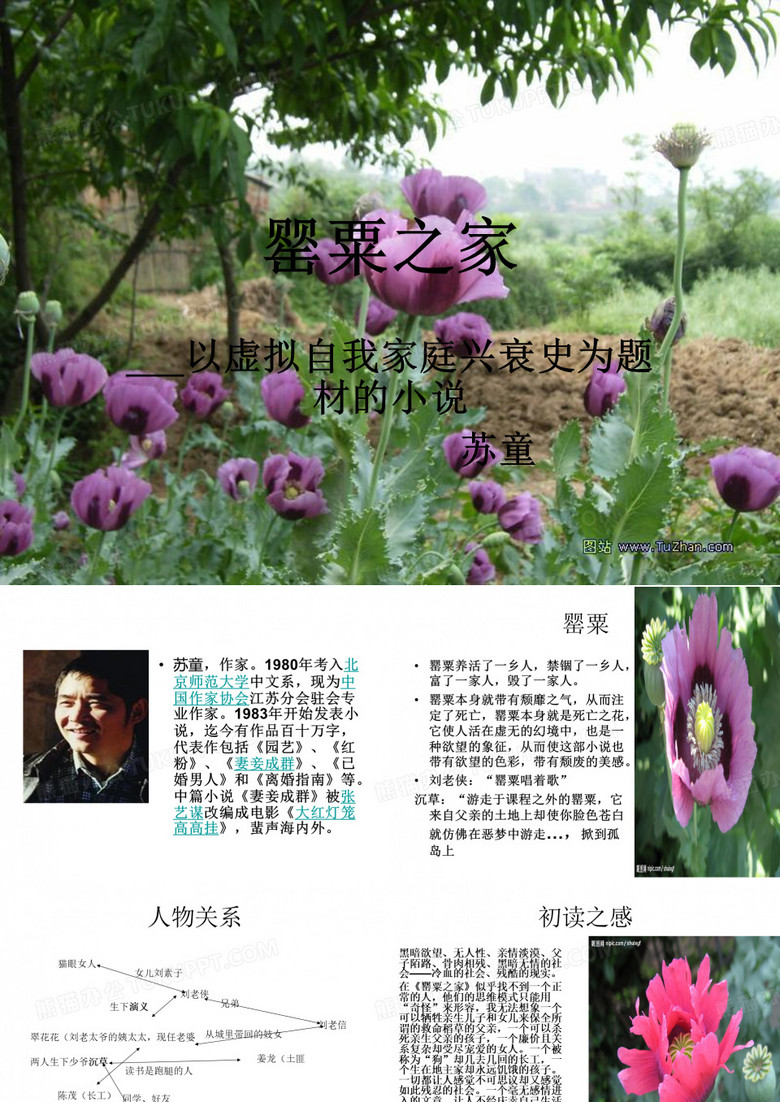 罂粟之家——苏童