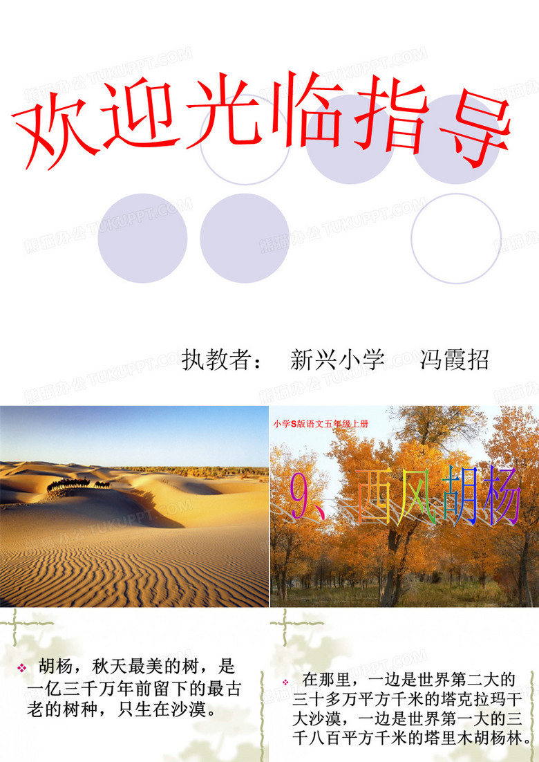 《西风胡杨》)