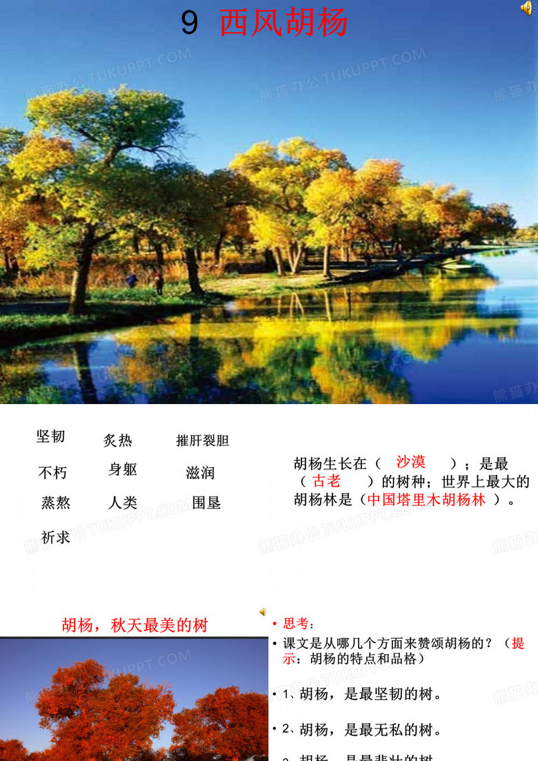 9《西风胡杨》