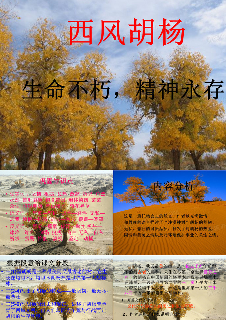 9-西风胡杨