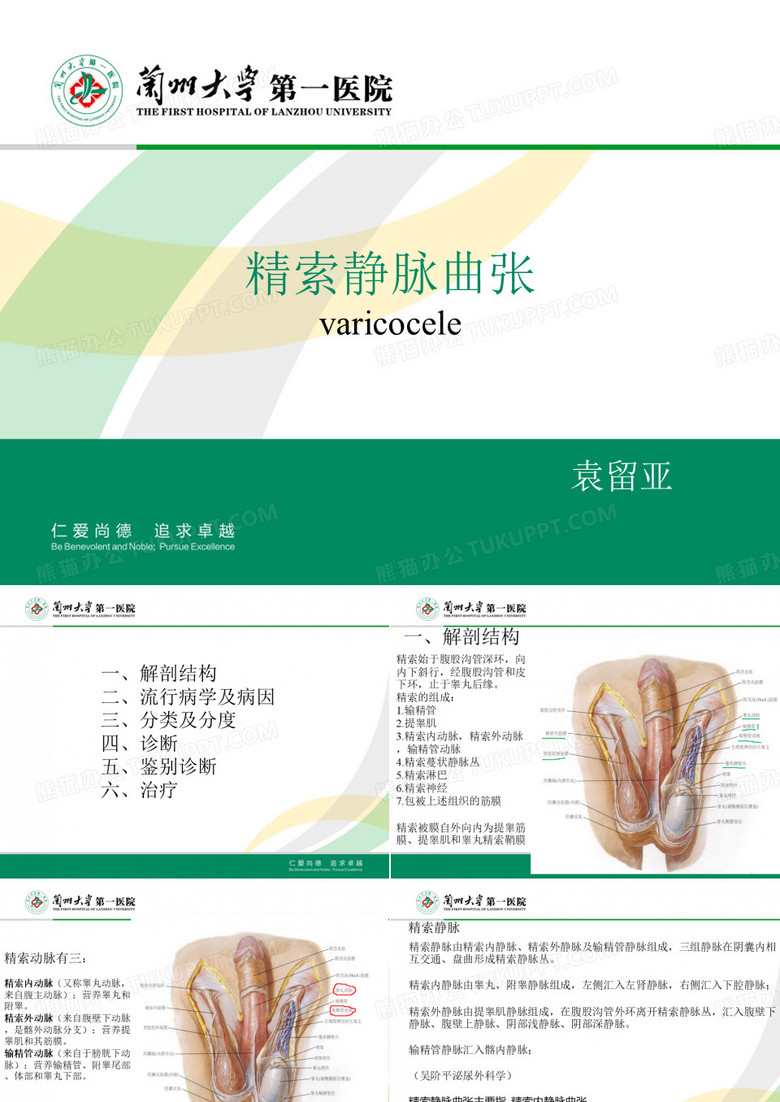 精索静脉曲张