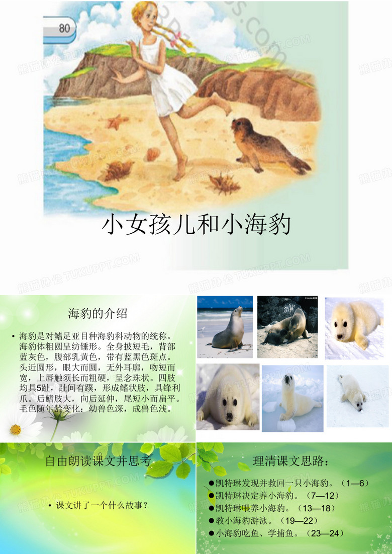 小女孩儿和小海豹ppt课件