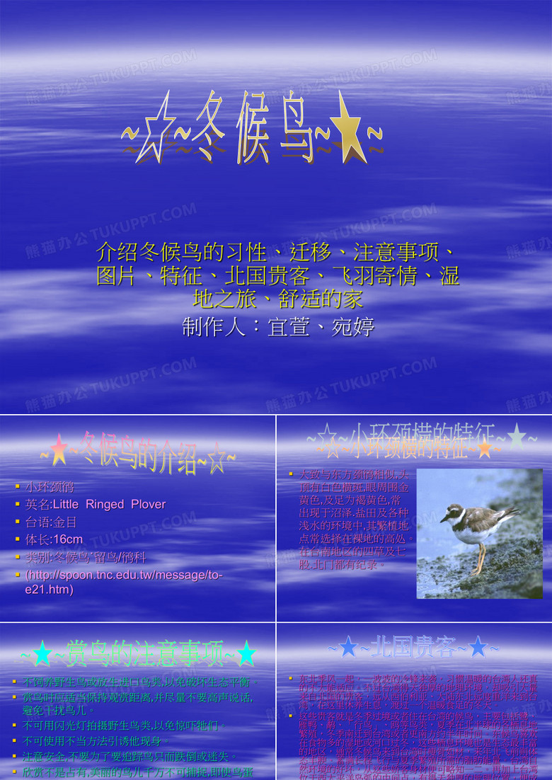 候鸟