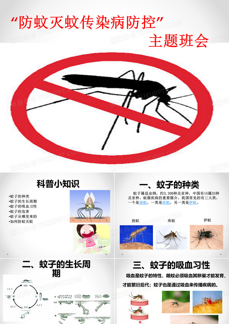 主题班会《防蚊灭蚊》