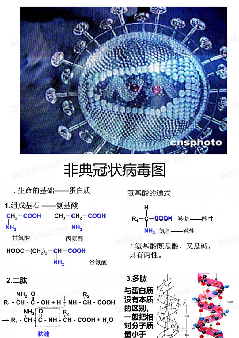 〖医学〗非典冠状病毒图