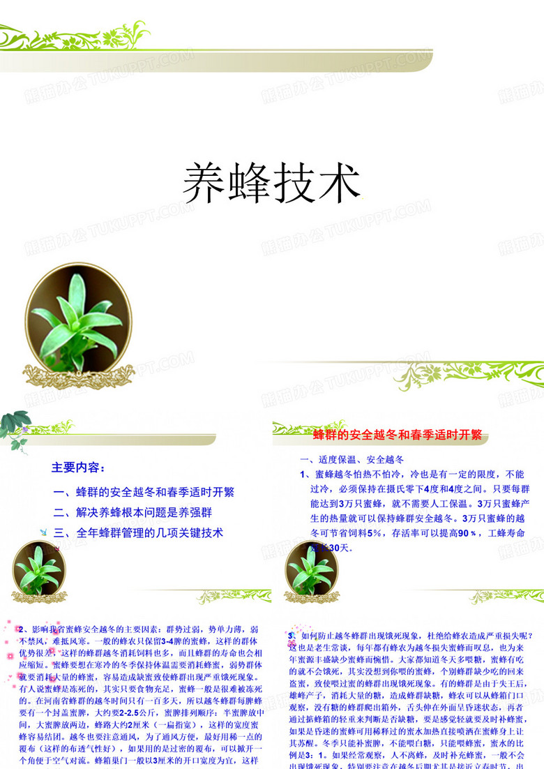 养蜂技术.ppt