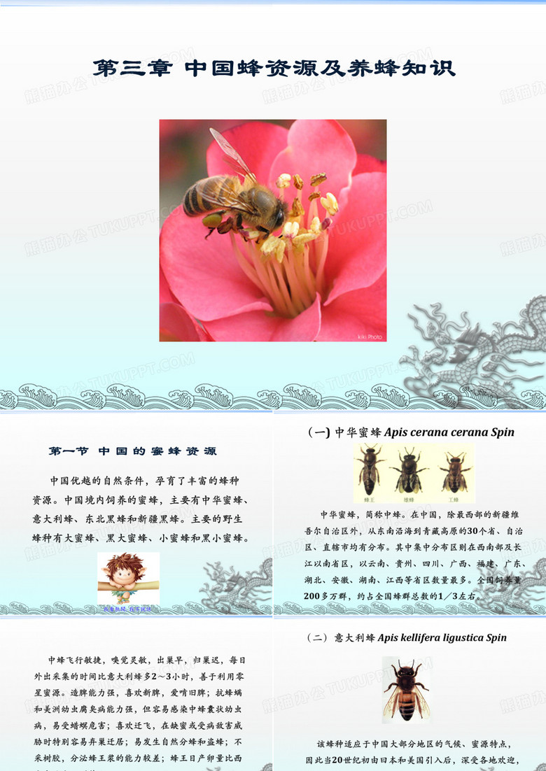 第三章 中国蜂资源及养蜂(xin)