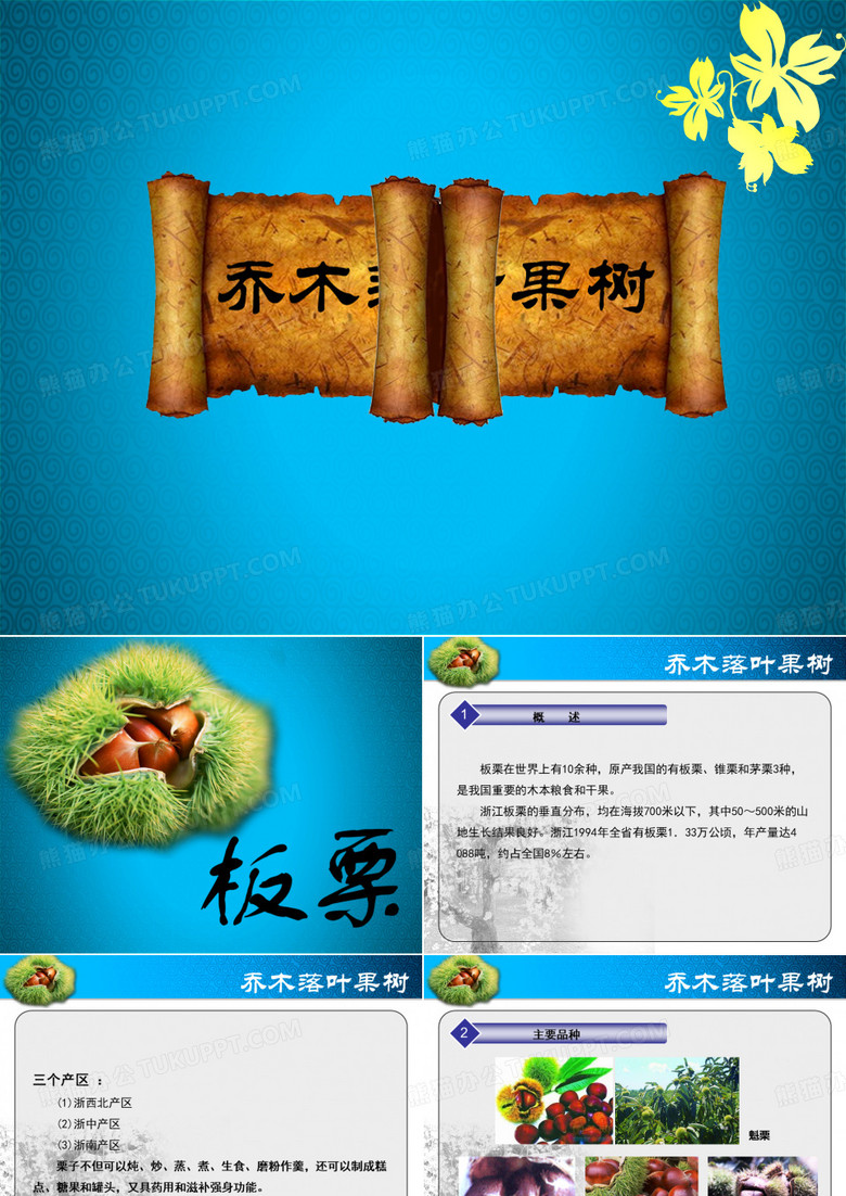 板栗