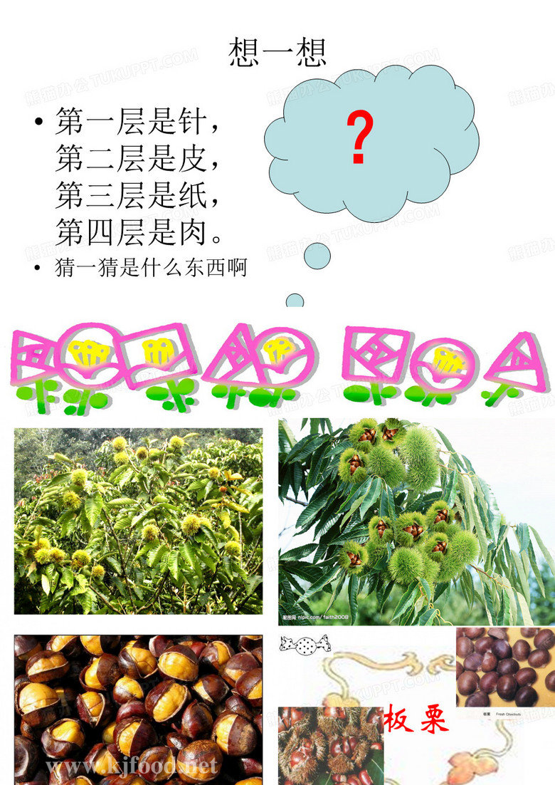 板栗