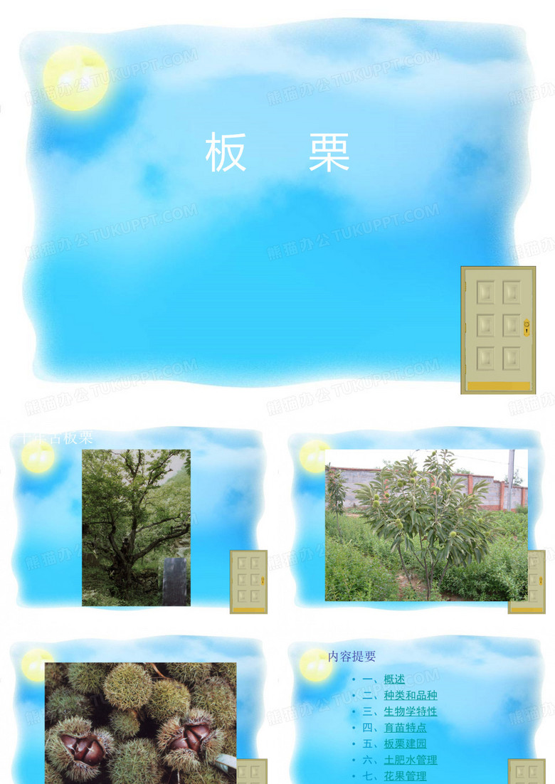 板栗栽培技术