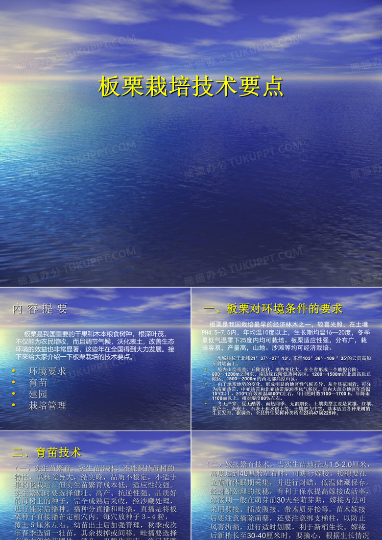 板栗栽培技术课件