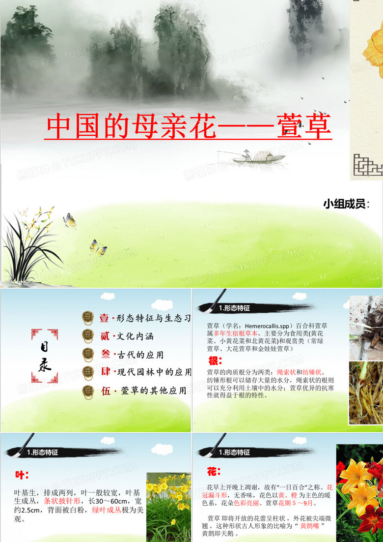 萱草及园林应用培训课件PPT(共 32张)