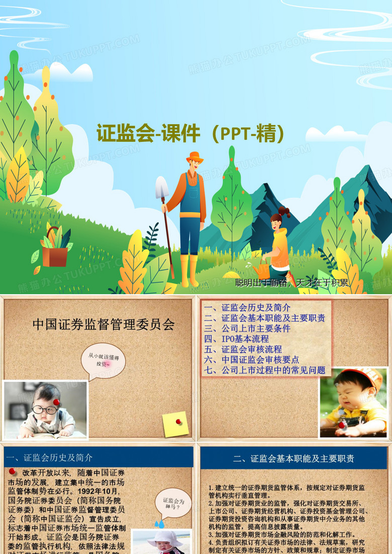 证监会-课件(PPT-精)共43页PPT