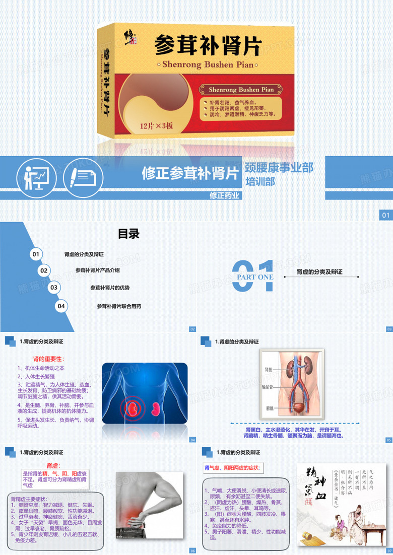 3.修正参茸补肾片