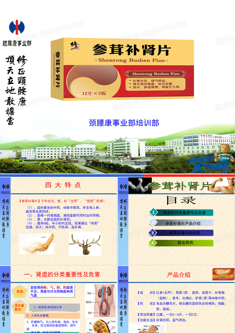 参茸补肾片修正培训资料