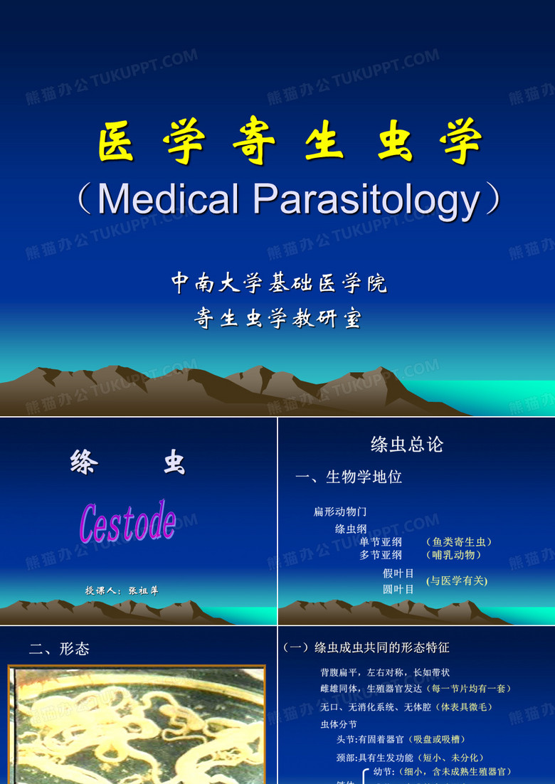 绦虫