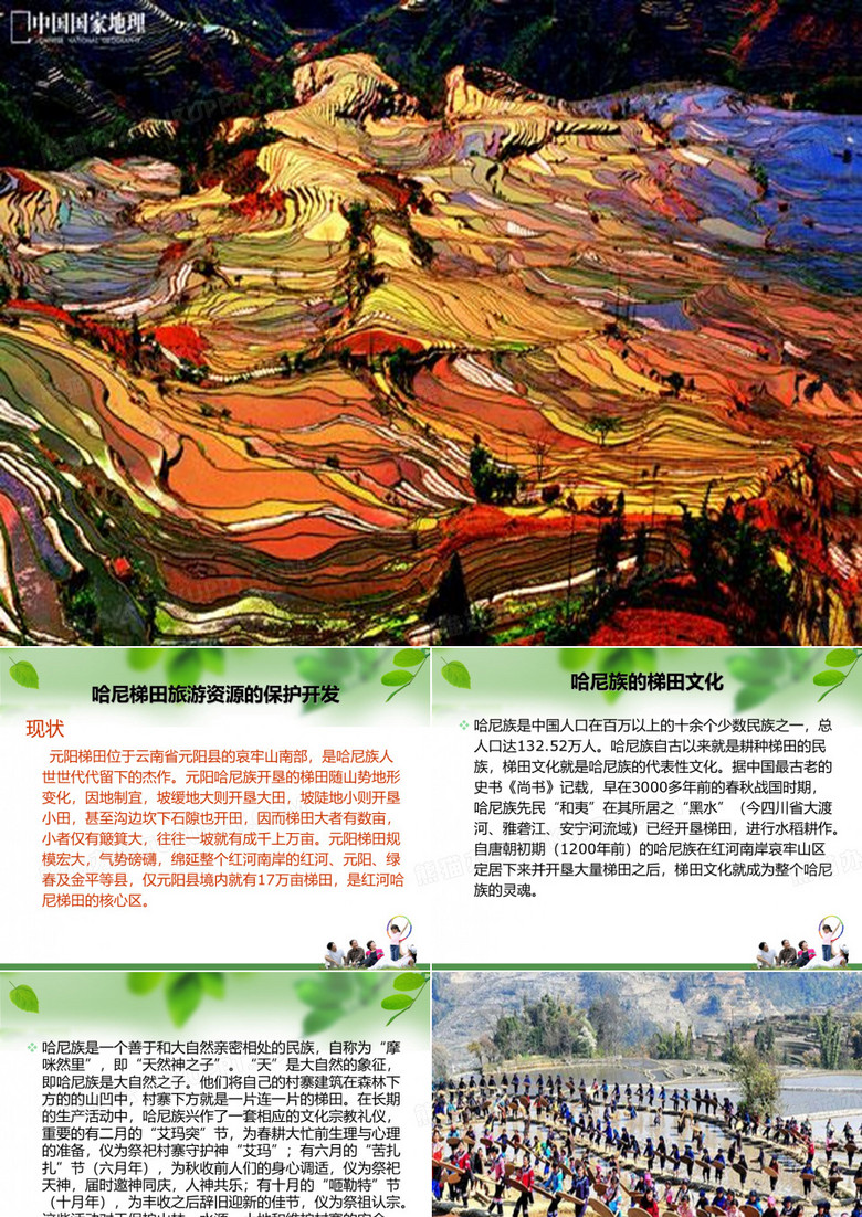 哈尼梯田