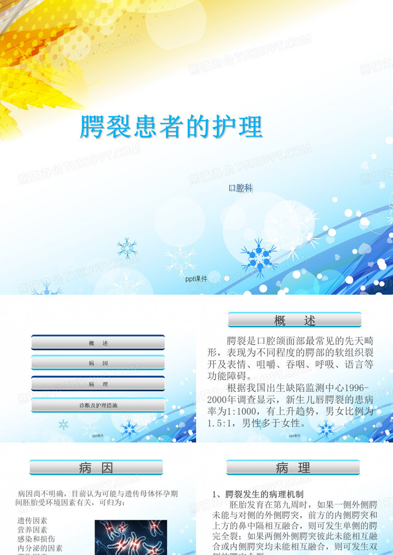 腭裂患者的护理  ppt课件
