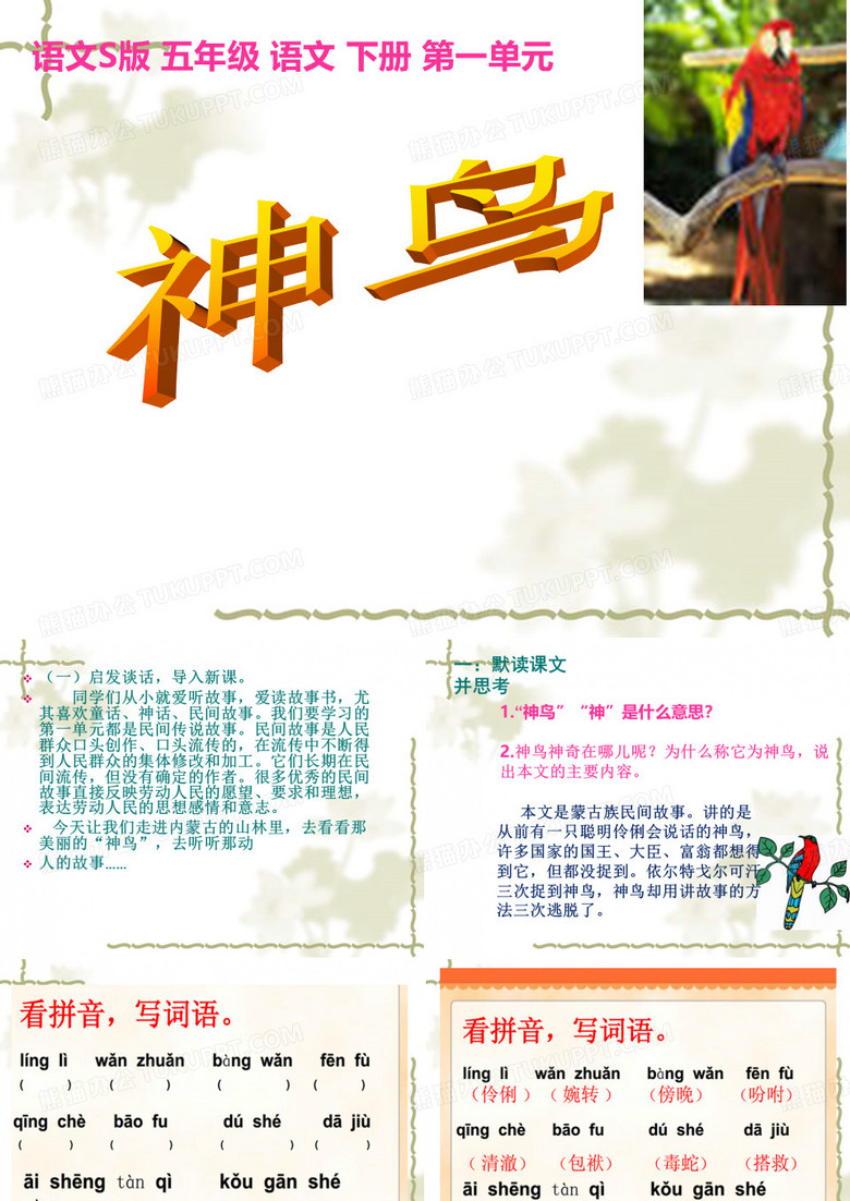神鸟(完整版)