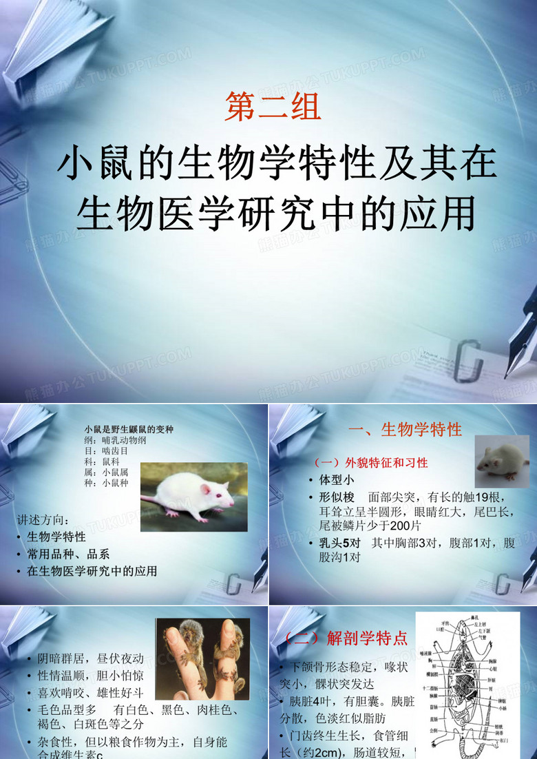 小鼠的生物学特性