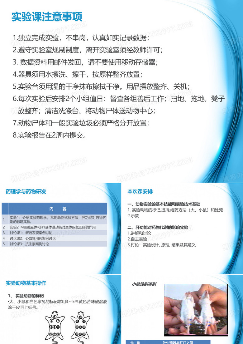 小鼠腹腔注射
