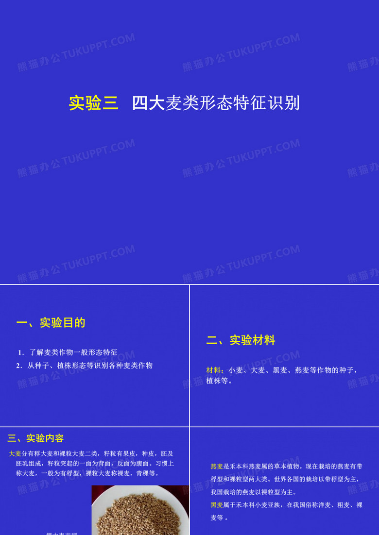 实验三四大麦类(小麦、大麦、黑麦、燕麦)21页PPT