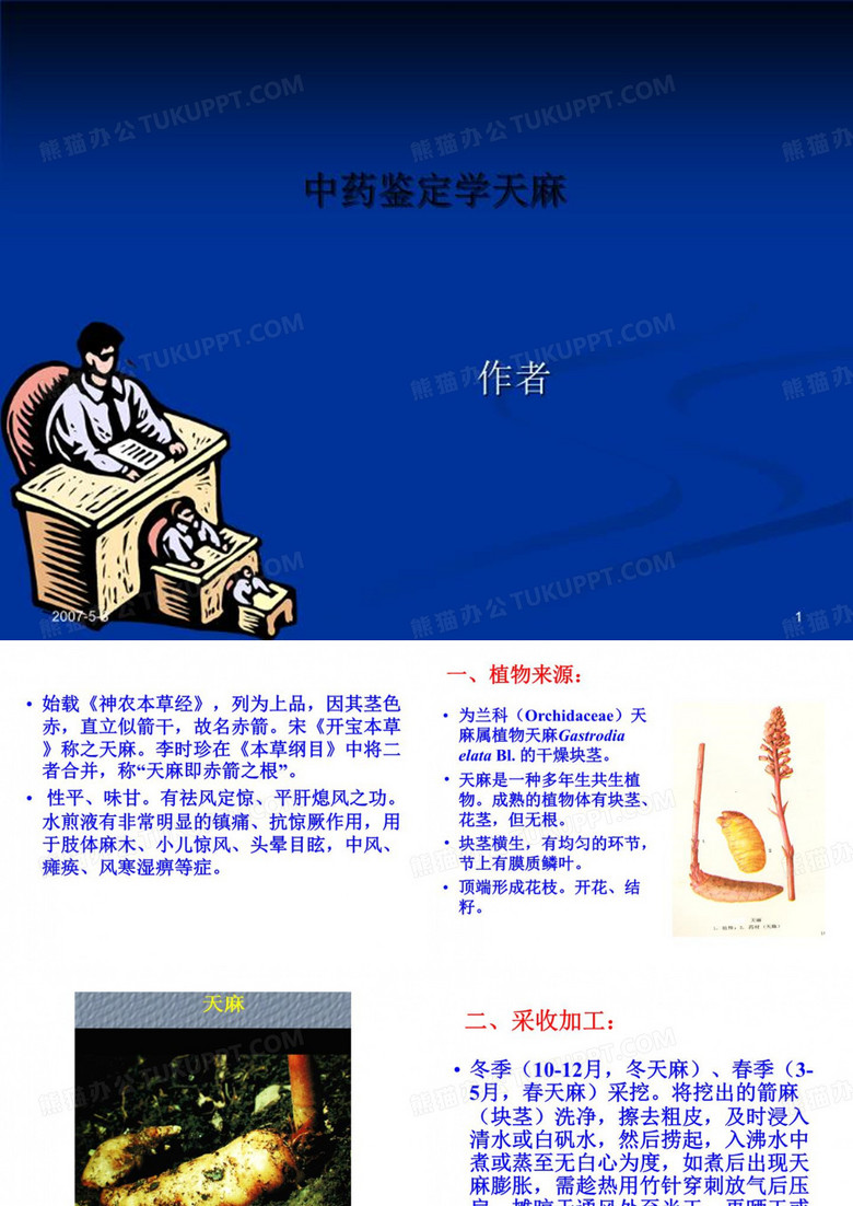 中药鉴定学天麻