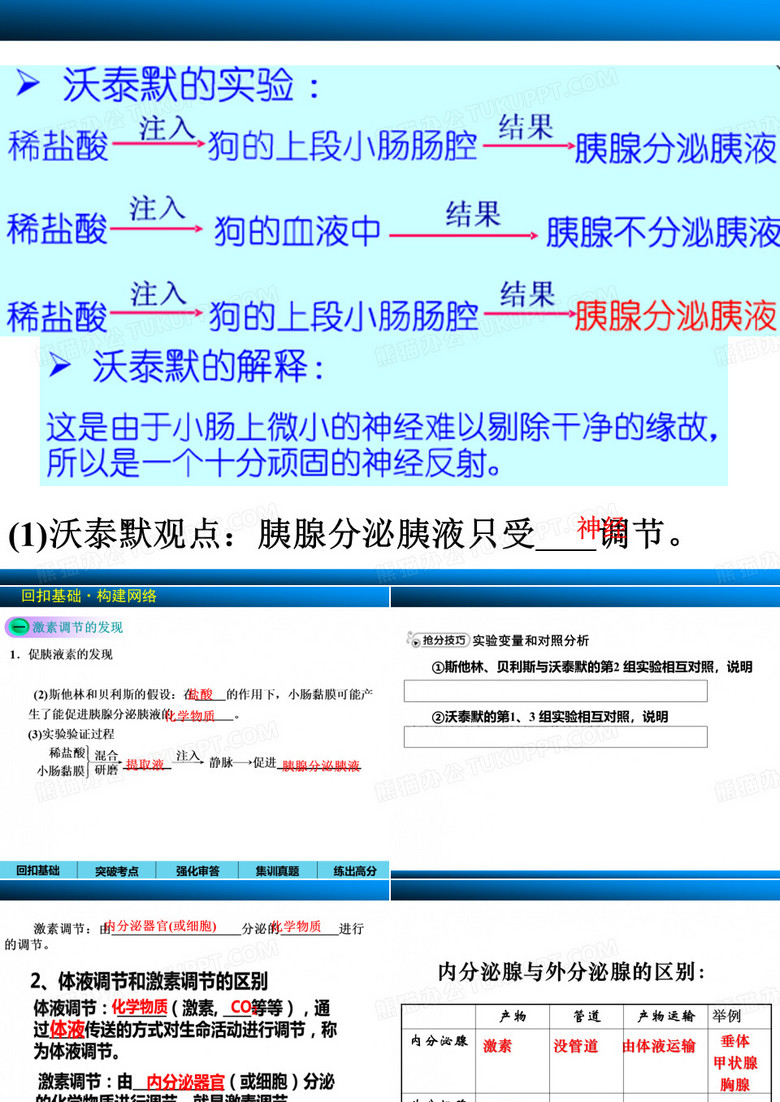 通过激素的调节神经调节与激素