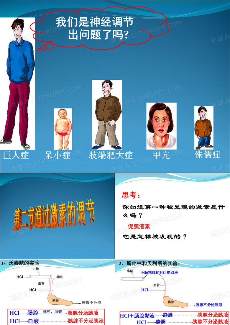 通过激素的调节