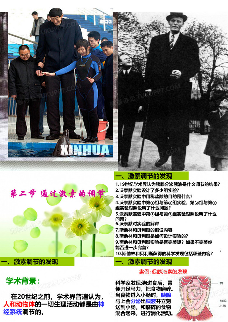 通过激素的调节