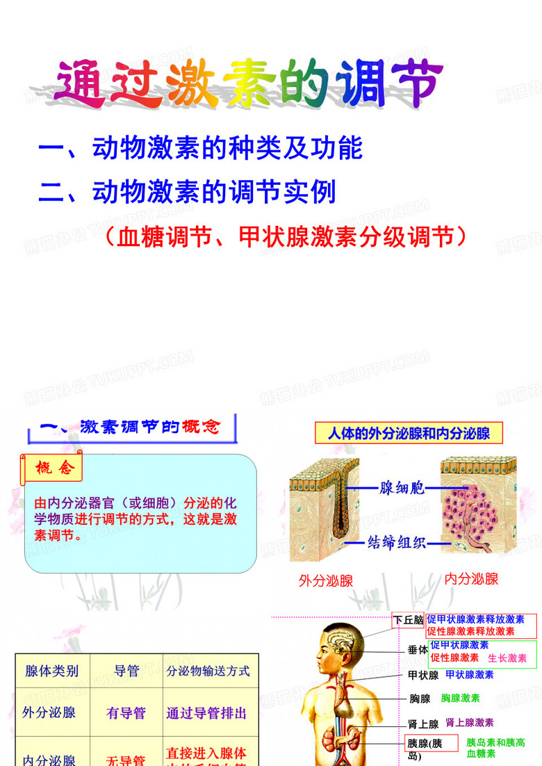 通过激素的调节