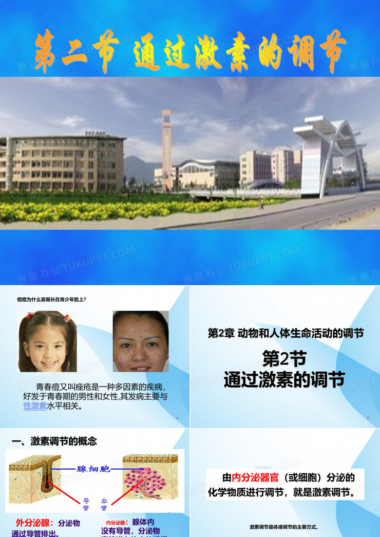 通过激素的调节