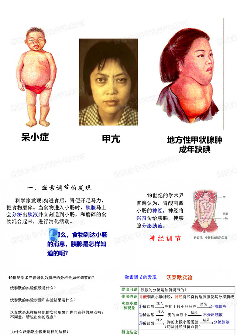 优质课通过激素的调节