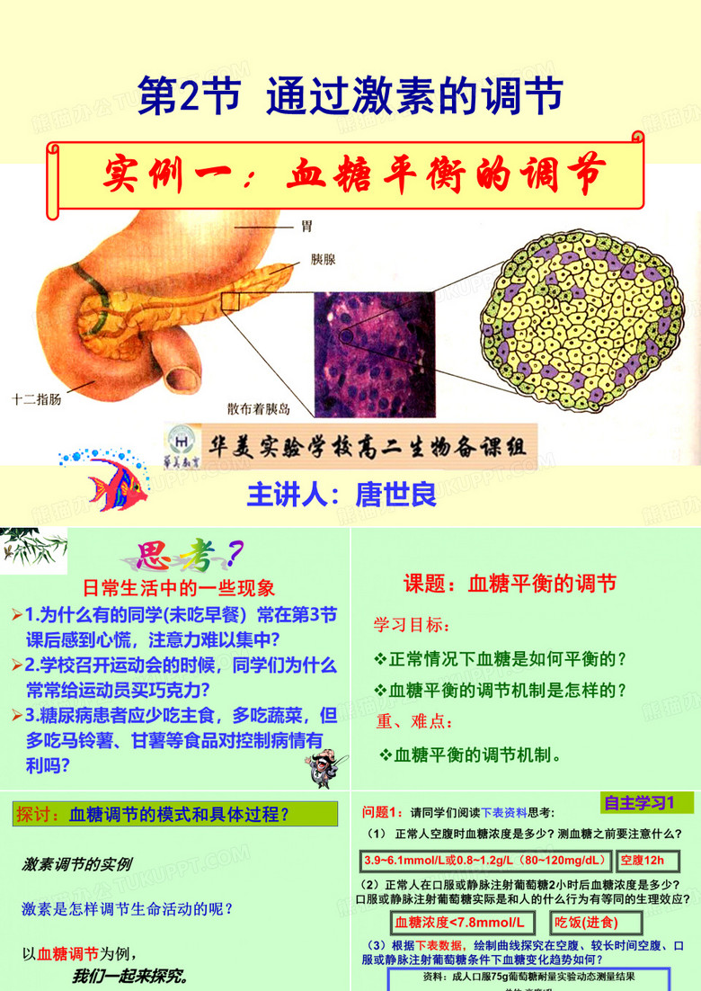 公开课《通过激素的调节》