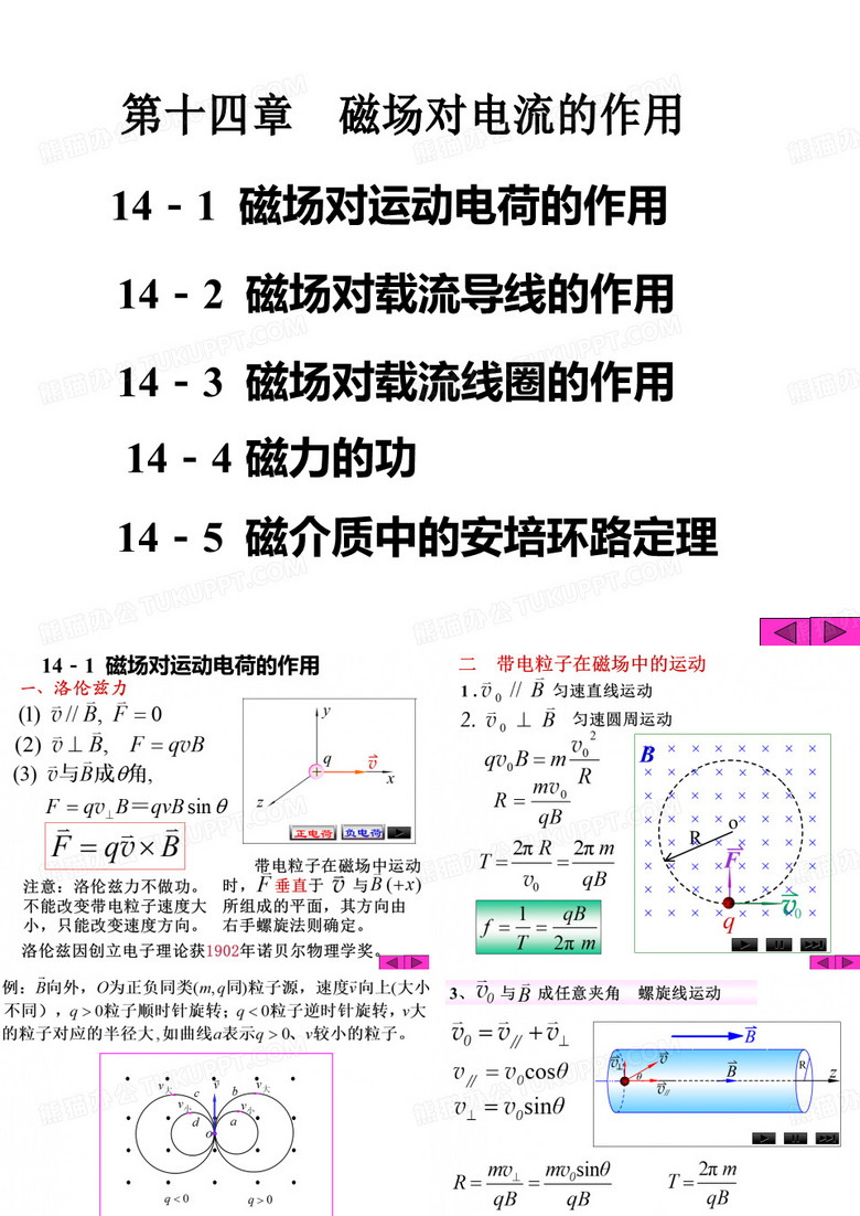 磁场对电流的作用