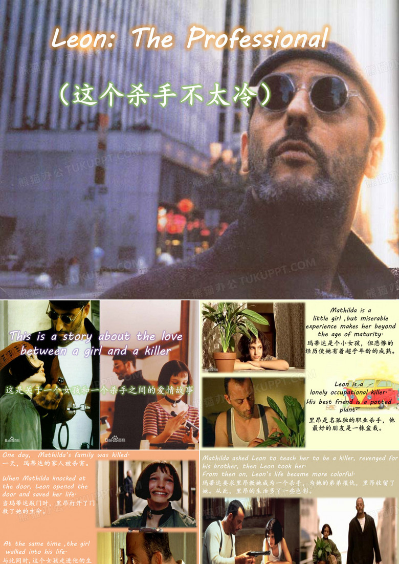 这个杀手不太冷英文介绍