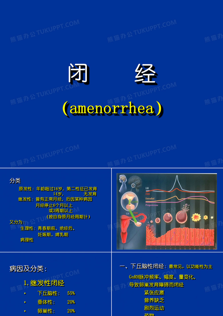 25.闭经