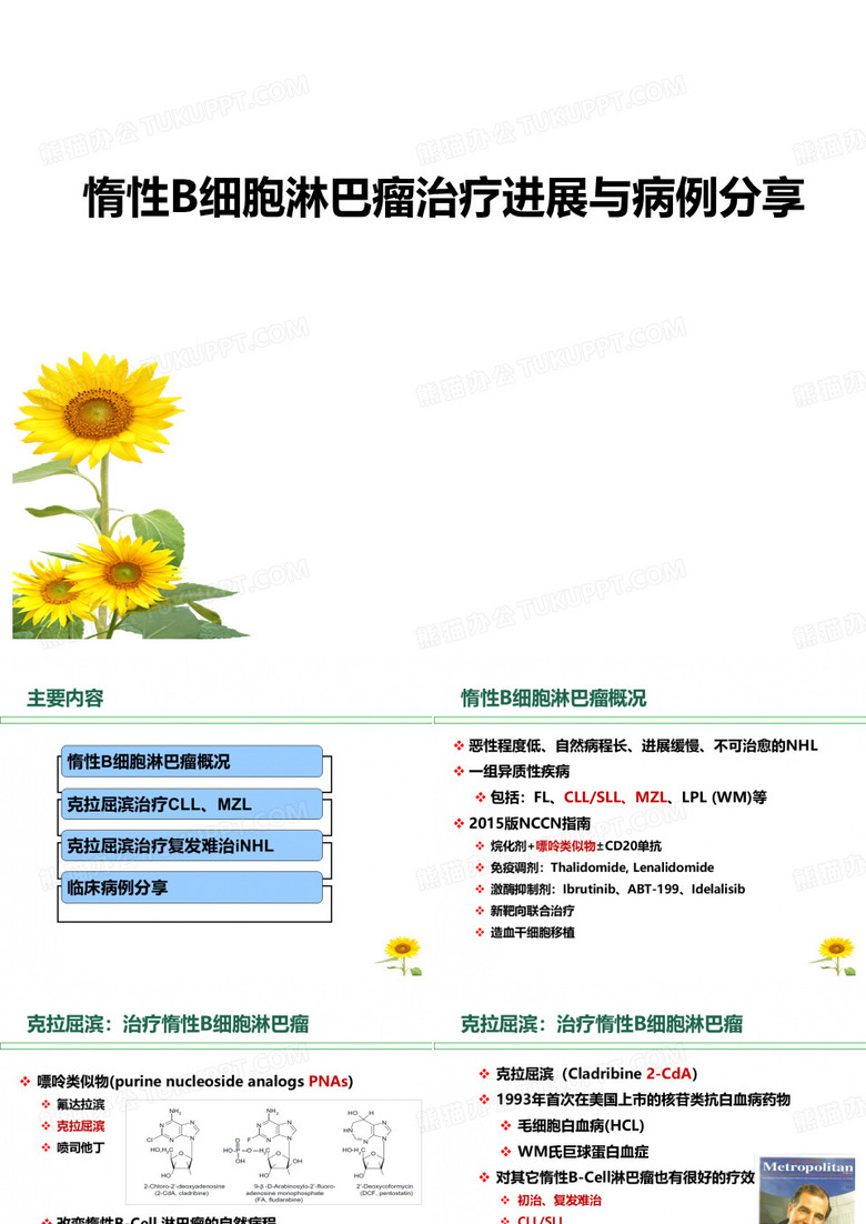 惰性B细胞淋巴瘤的治疗