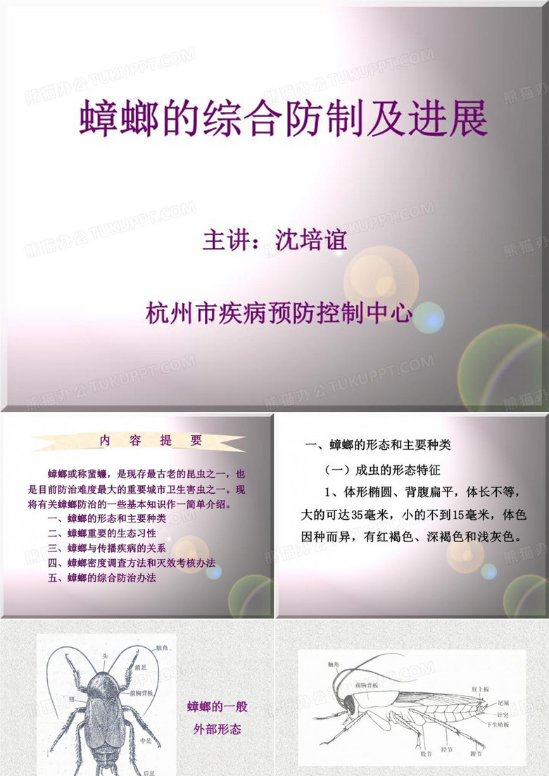 蟑螂的综合防治及进展