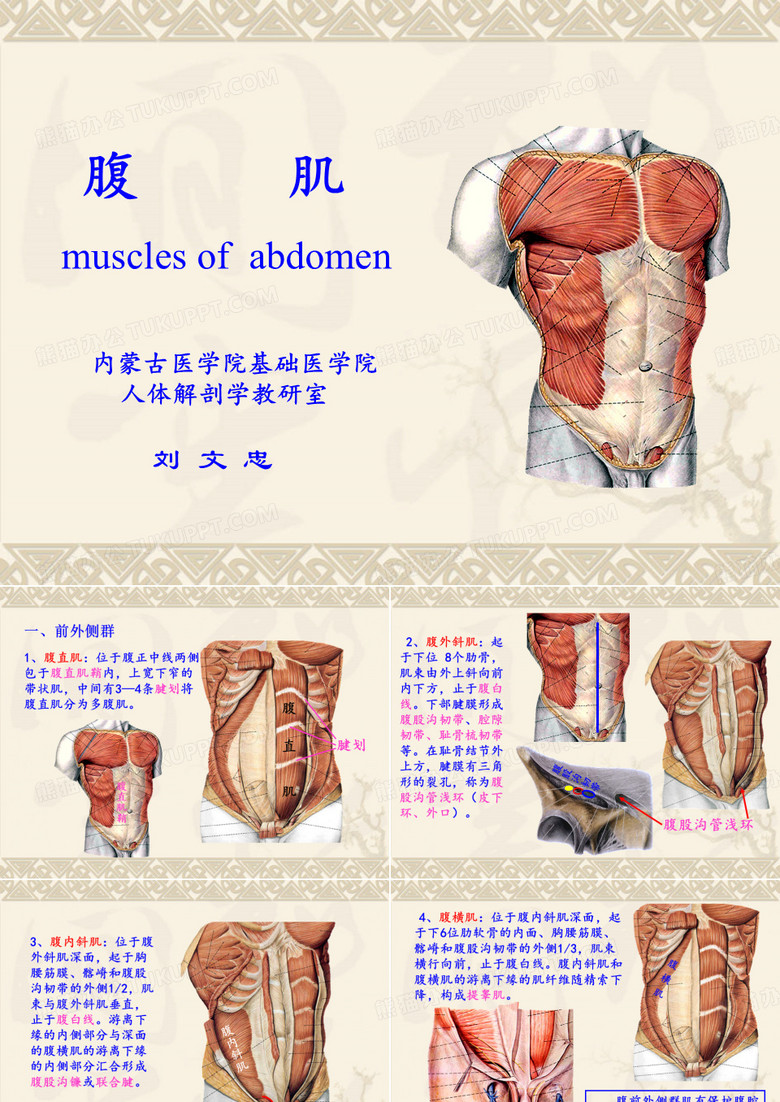 腹肌
