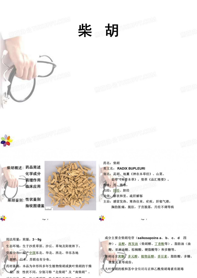柴胡  ppt课件