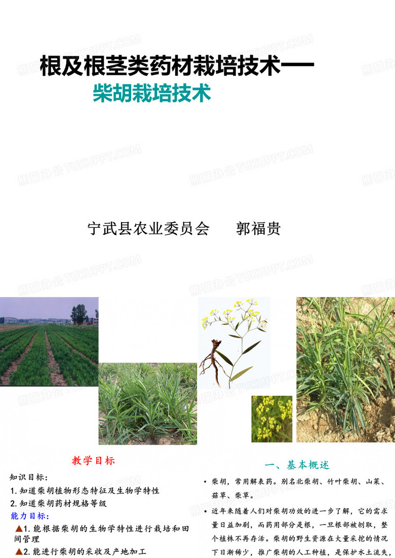 中药柴胡种植技术