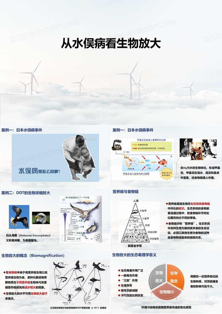 水俣病是怎么回事？.pptx