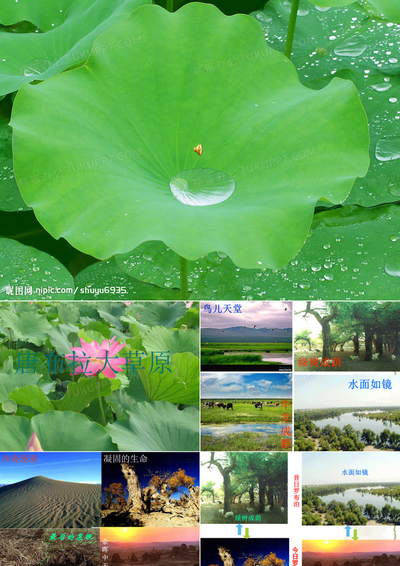 罗布泊消逝的仙湖