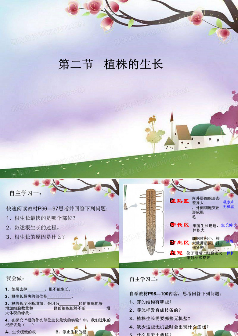 植株生长