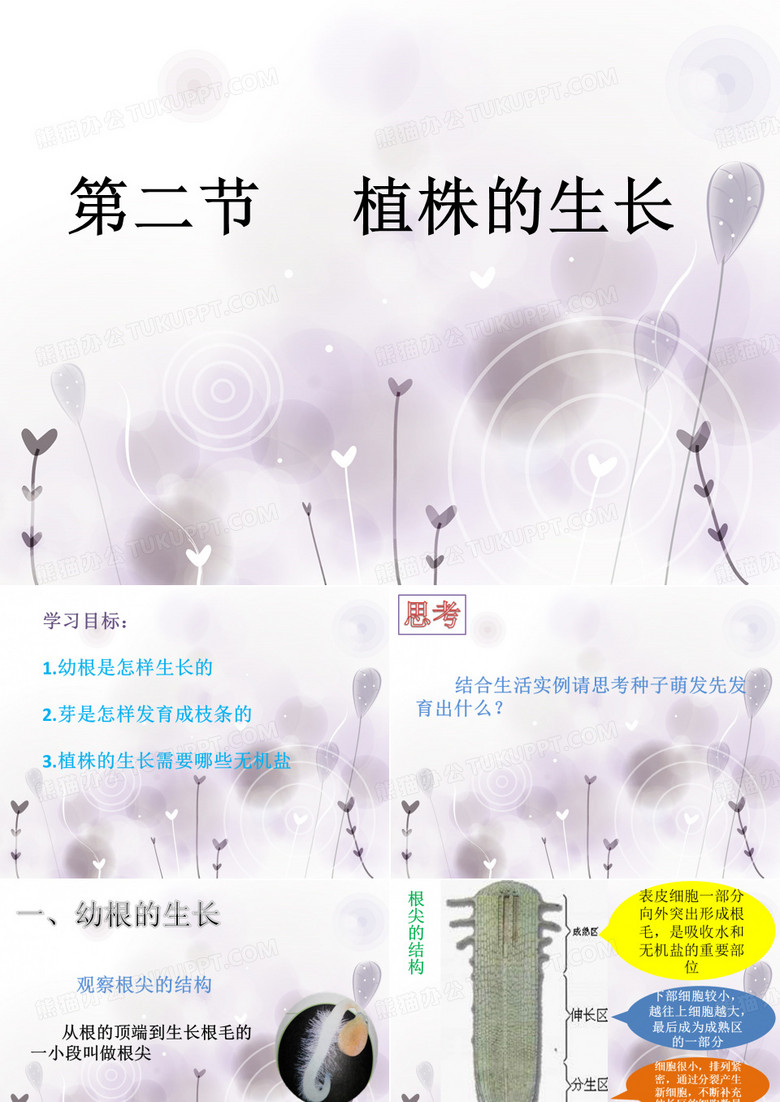 植株的生长