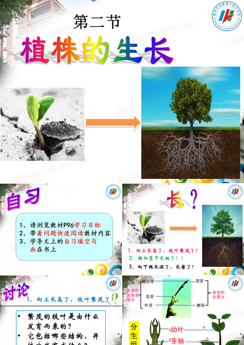 植株的生长,,